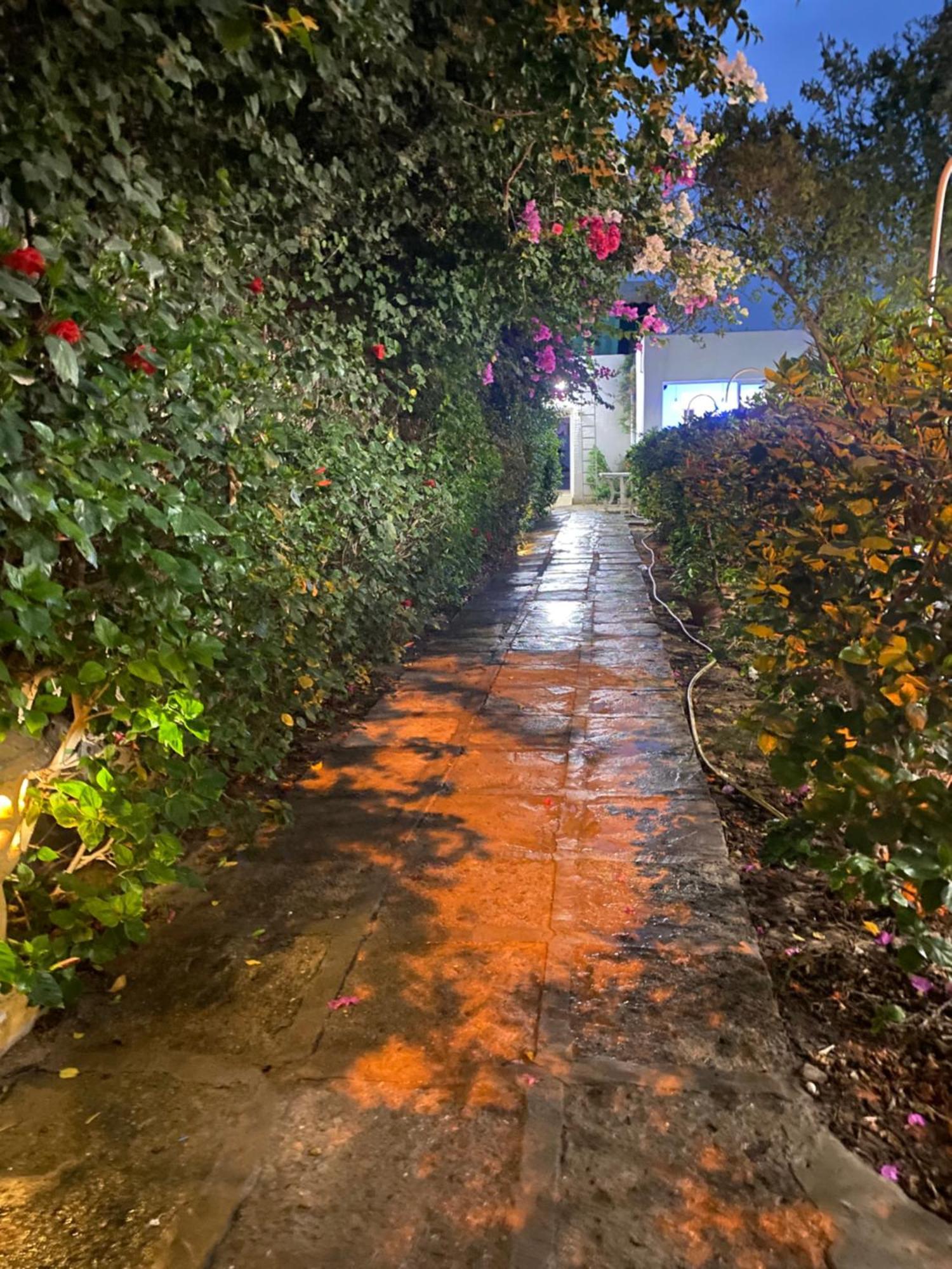Bungalow El Houda Al-Hammamat Bagian luar foto