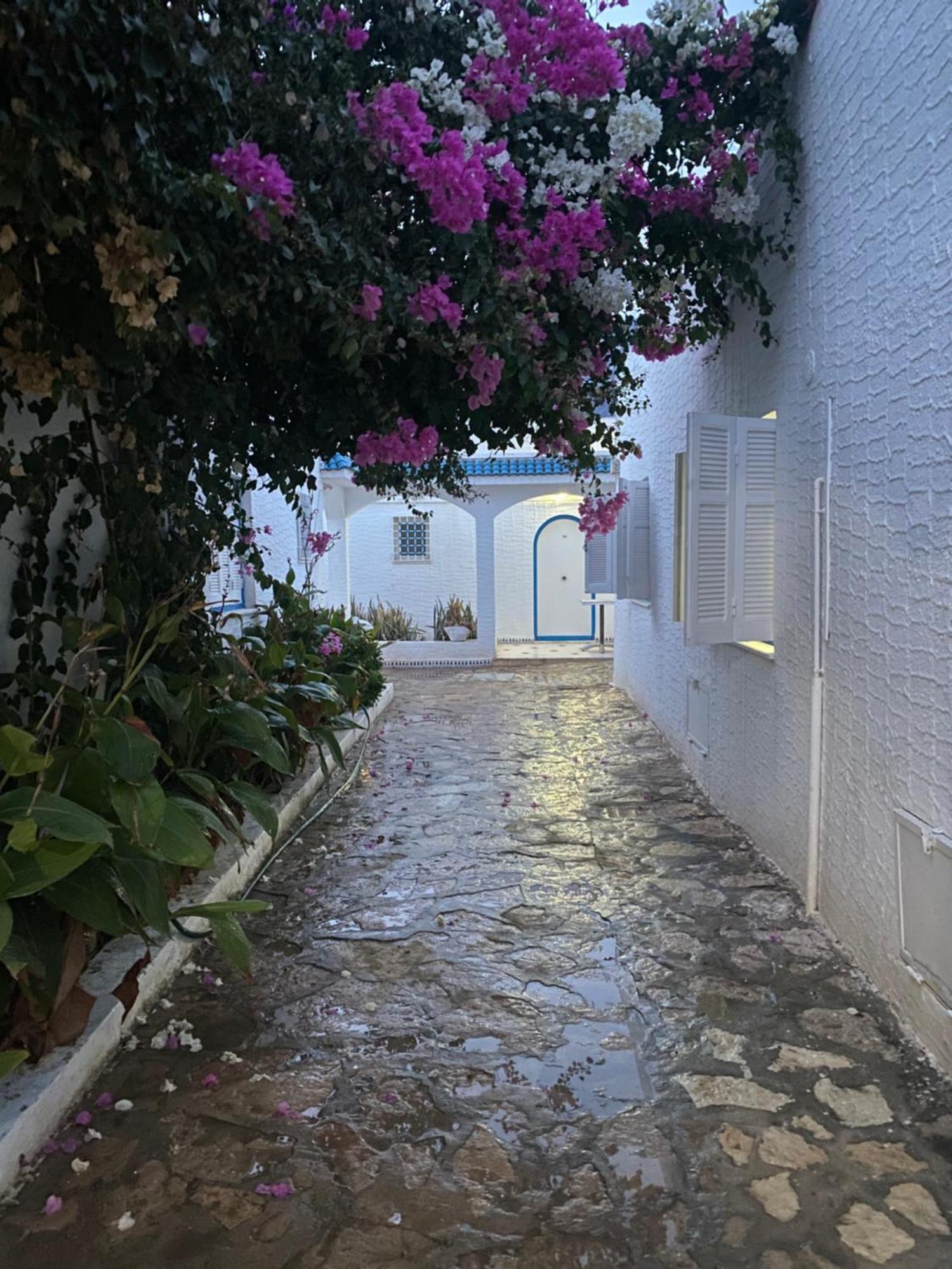 Bungalow El Houda Al-Hammamat Bagian luar foto